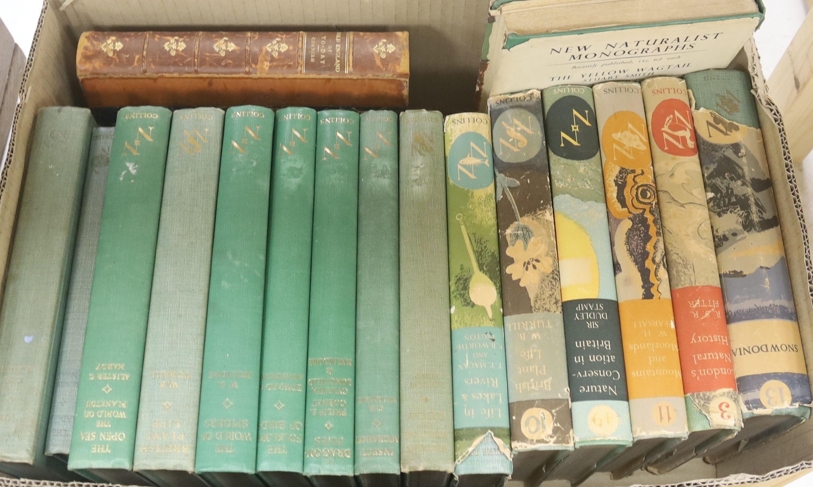 Ornithology and Natural History - A miscellany of approximately 33 volumes, in 2 boxes